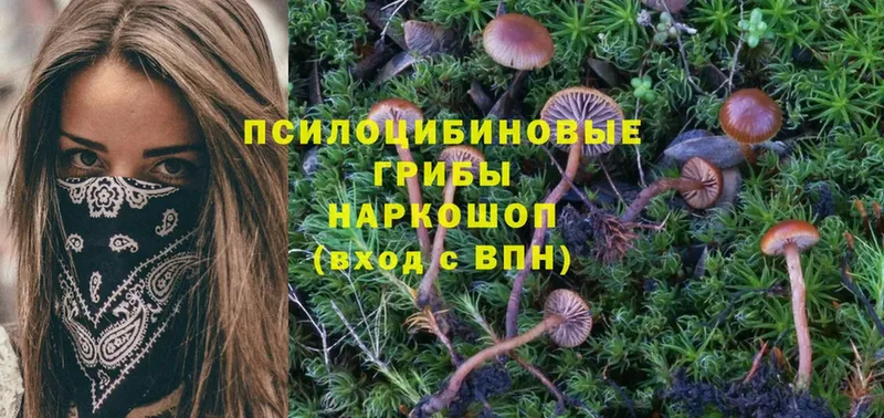 Галлюциногенные грибы Magic Shrooms  площадка клад  Костомукша 